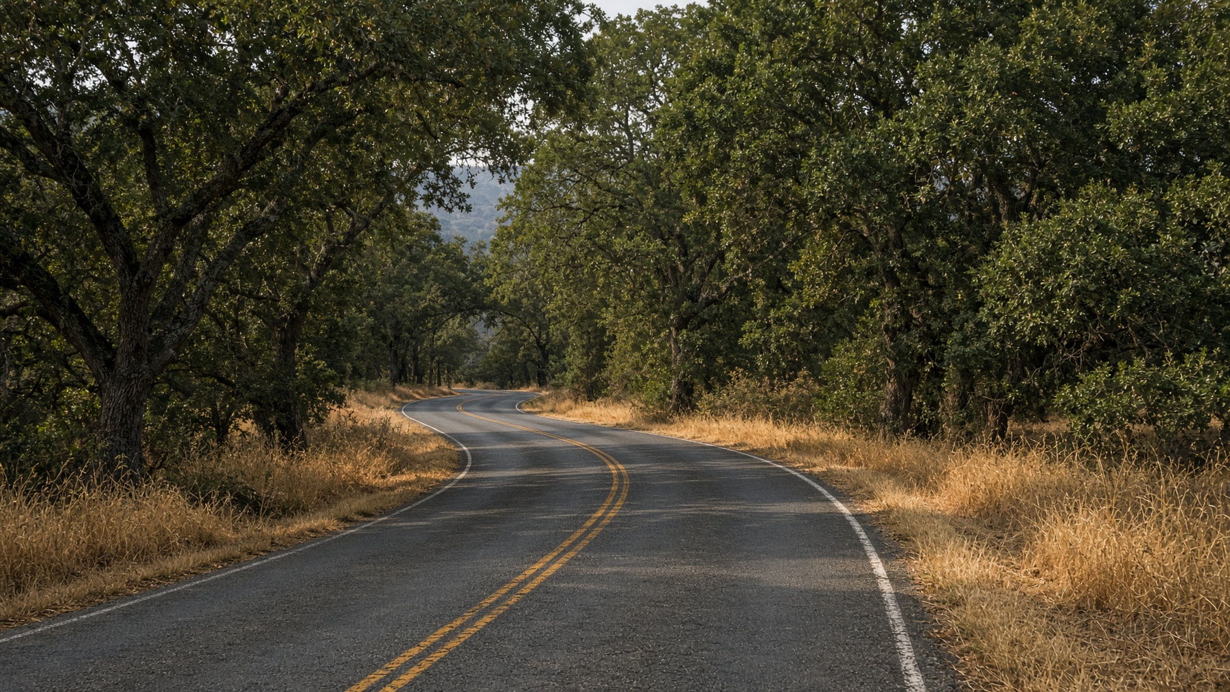 Narrow two-lane road through oak foothills